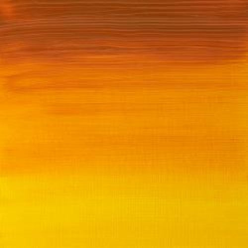 Winsor & Newton Artists' Oil Colour 37ml - Indian Yellow (319)