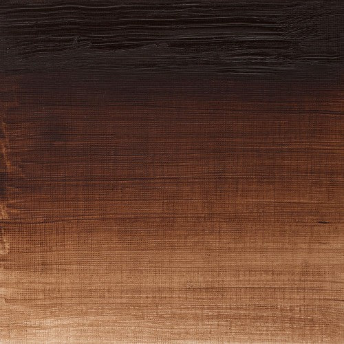 Winsor & Newton Winton Oil Colour 200ml - Burnt Umber (076)
