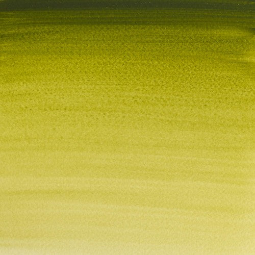 Winsor & Newton Professional Water Colour Half Pan - Olive Green (447)