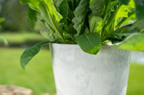 Pot - Palermo XL 25 x 27cm Marble White (Set of 2)