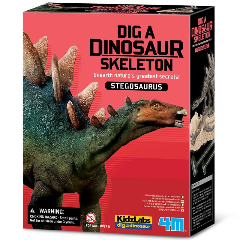 Dig A Stegosaurus Skeleton - 4M