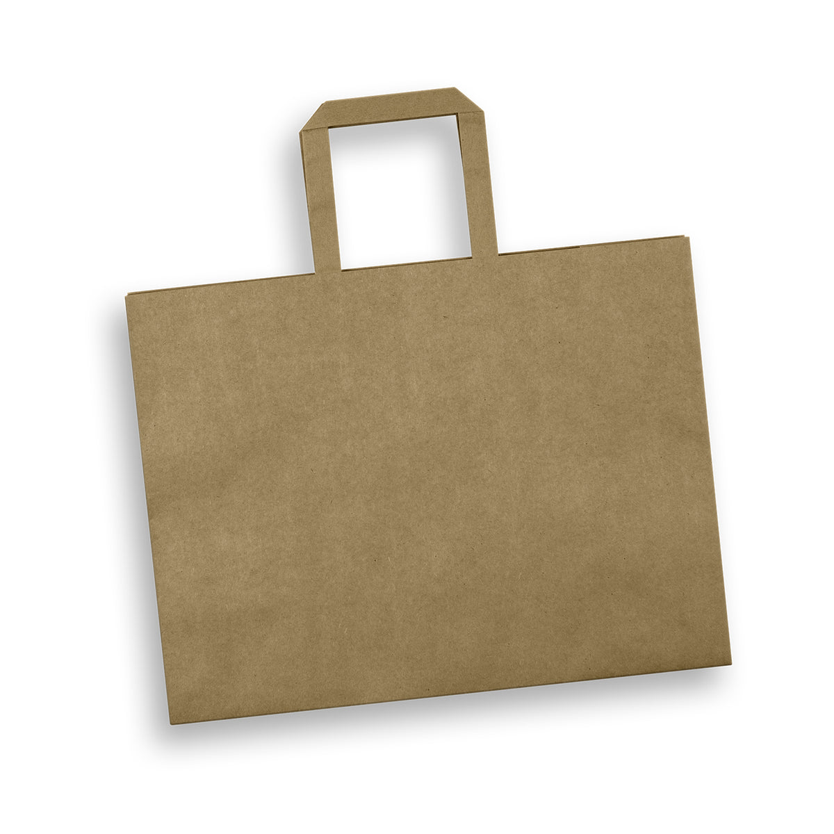 Large Landscape Paper Shopping Bag Flat Handles Natural - Pack of 50