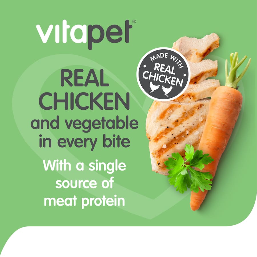 Vitapet Skin & Coat Dog Treats Chicken & Veggies Pouch 100g