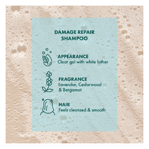 SHAMPOO - AKIN / A'KIN DAMAGE REPAIR (375ml) x 3 Bottles