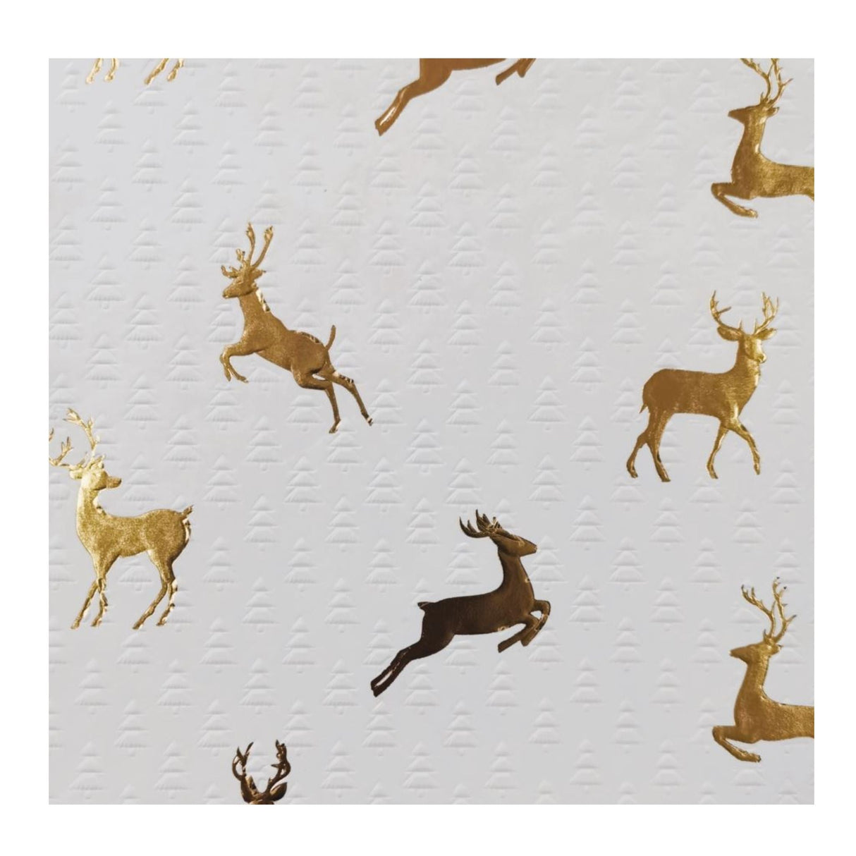 Wrapping Paper - Merry Xmas Reindeer - 50 Metre Roll