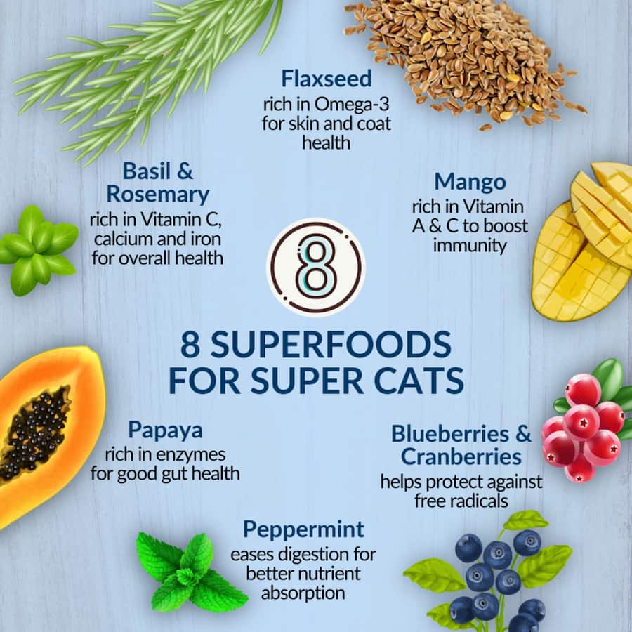 Wishbone Dry Cat Food Roost Bag 1.8kg