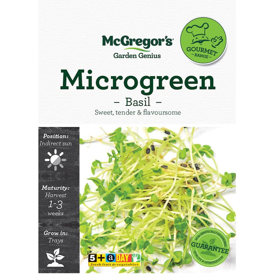 Mcgregors Microgreen Vegetable Seeds Basil - 1ea