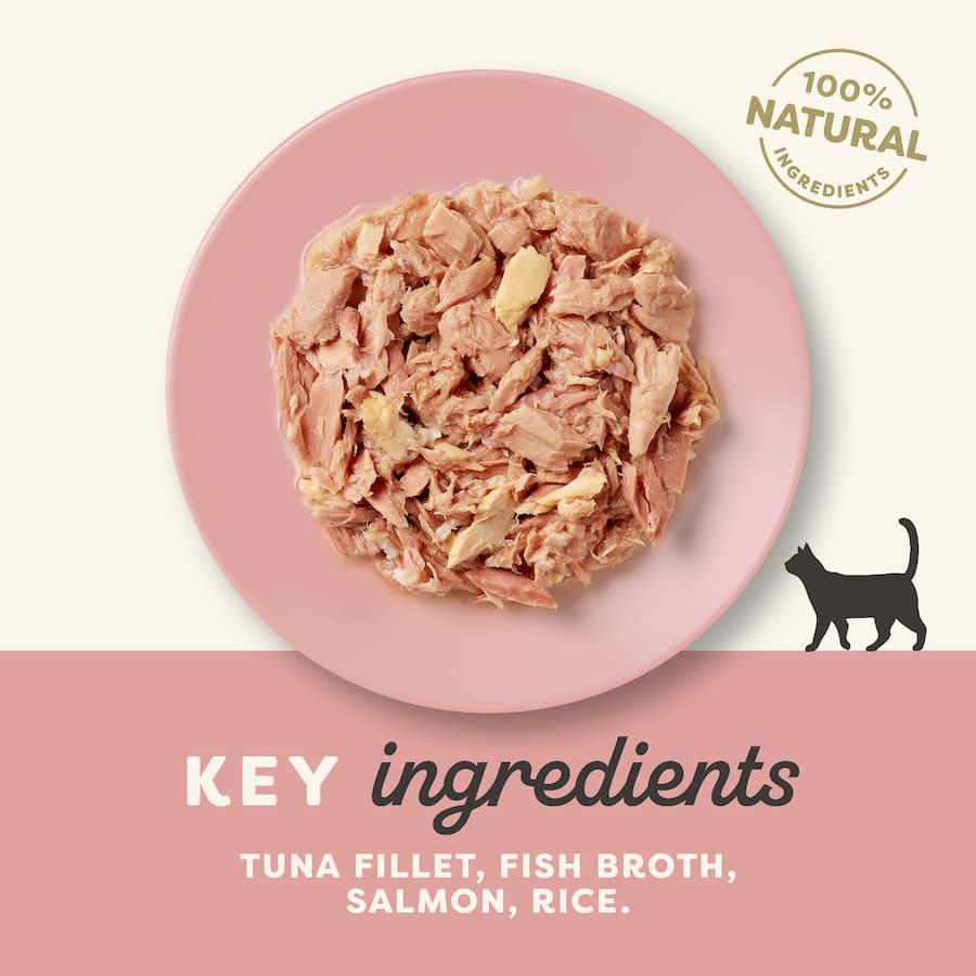Applaws Wet Cat Food Tuna Fillet With Salmon 70g