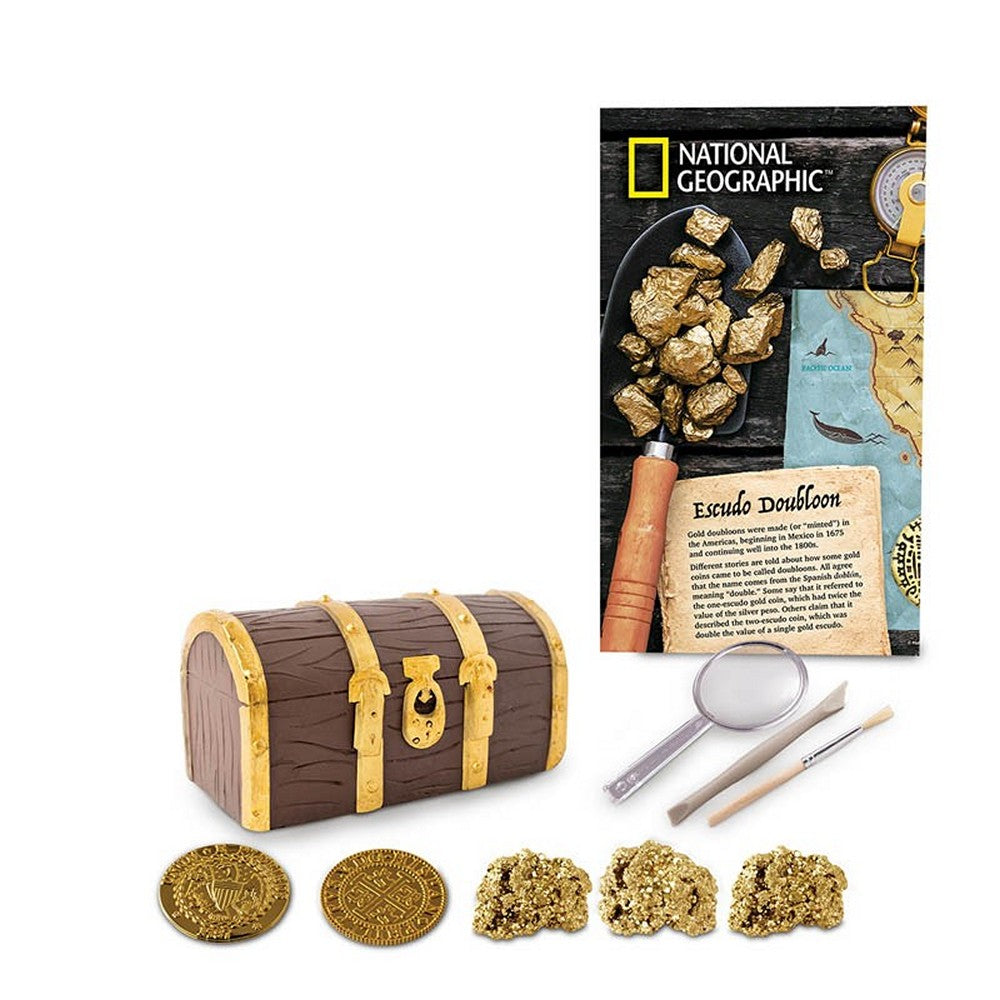 Gold Doubloon Dig Kit - Dig Kit