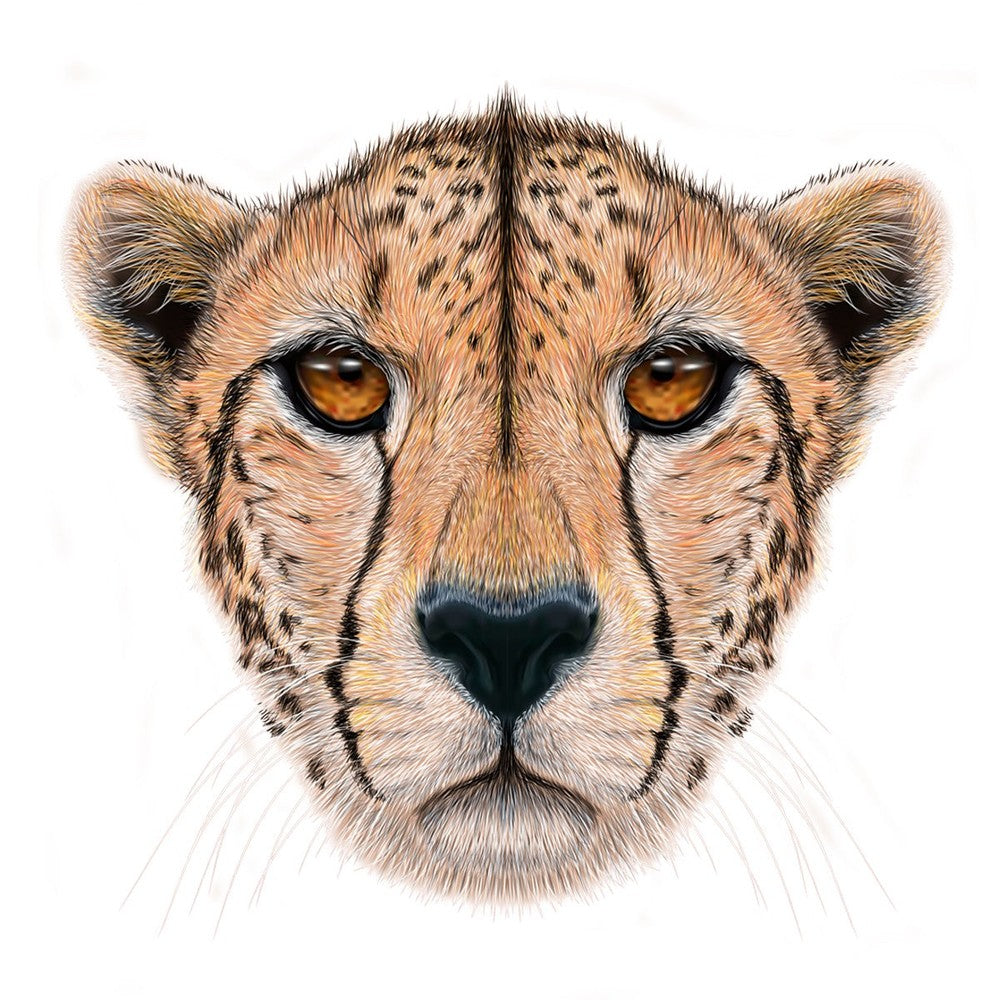 Puzzle - BMS - Cheetah Wooden Jigsaw 127Pc