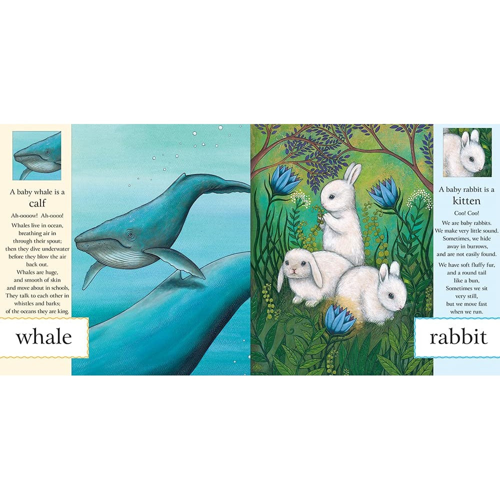 First Book Of Baby Animals