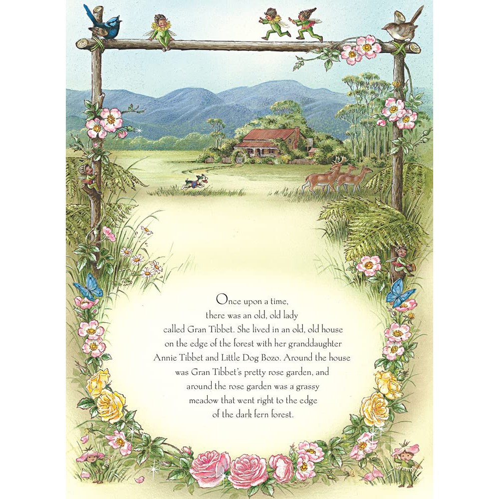 Rainbow Magic Hardback