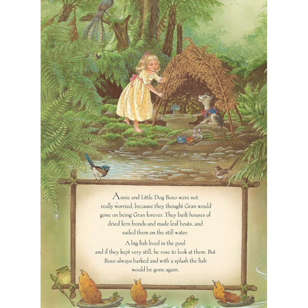 Rainbow Magic Hardback