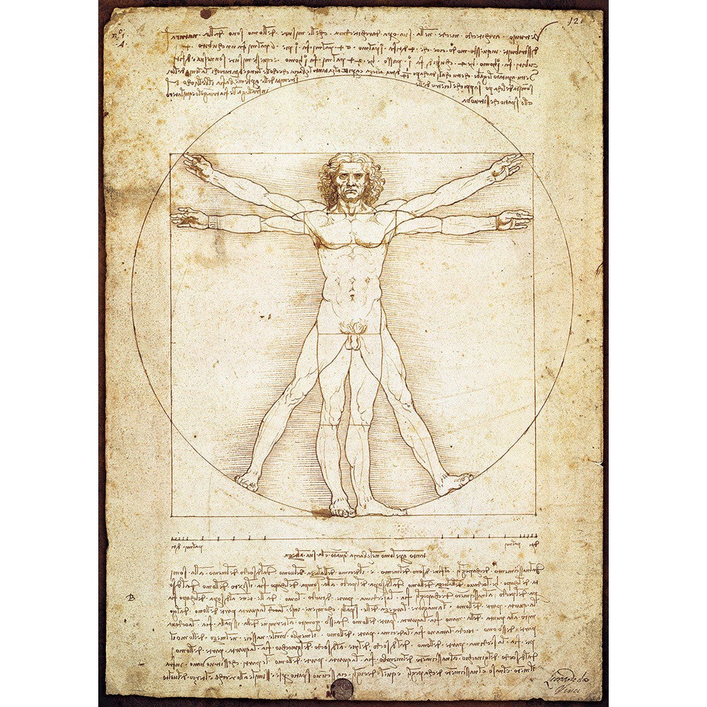 Puzzle - Eurographics - Da Vinci; Vitruvian Man 1000pc