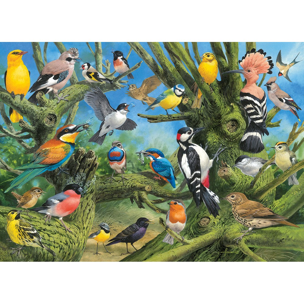 Eurographics - Garden Birds; Jardin 1000 Piece - Jigsaw Puzzle