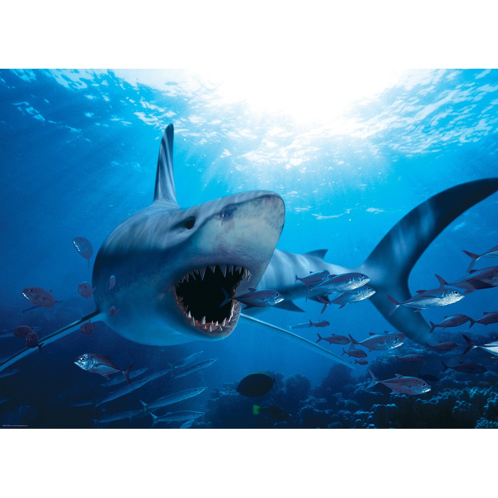 Eurographics - Hungry Shark 1000 Piece - Jigsaw Puzzle