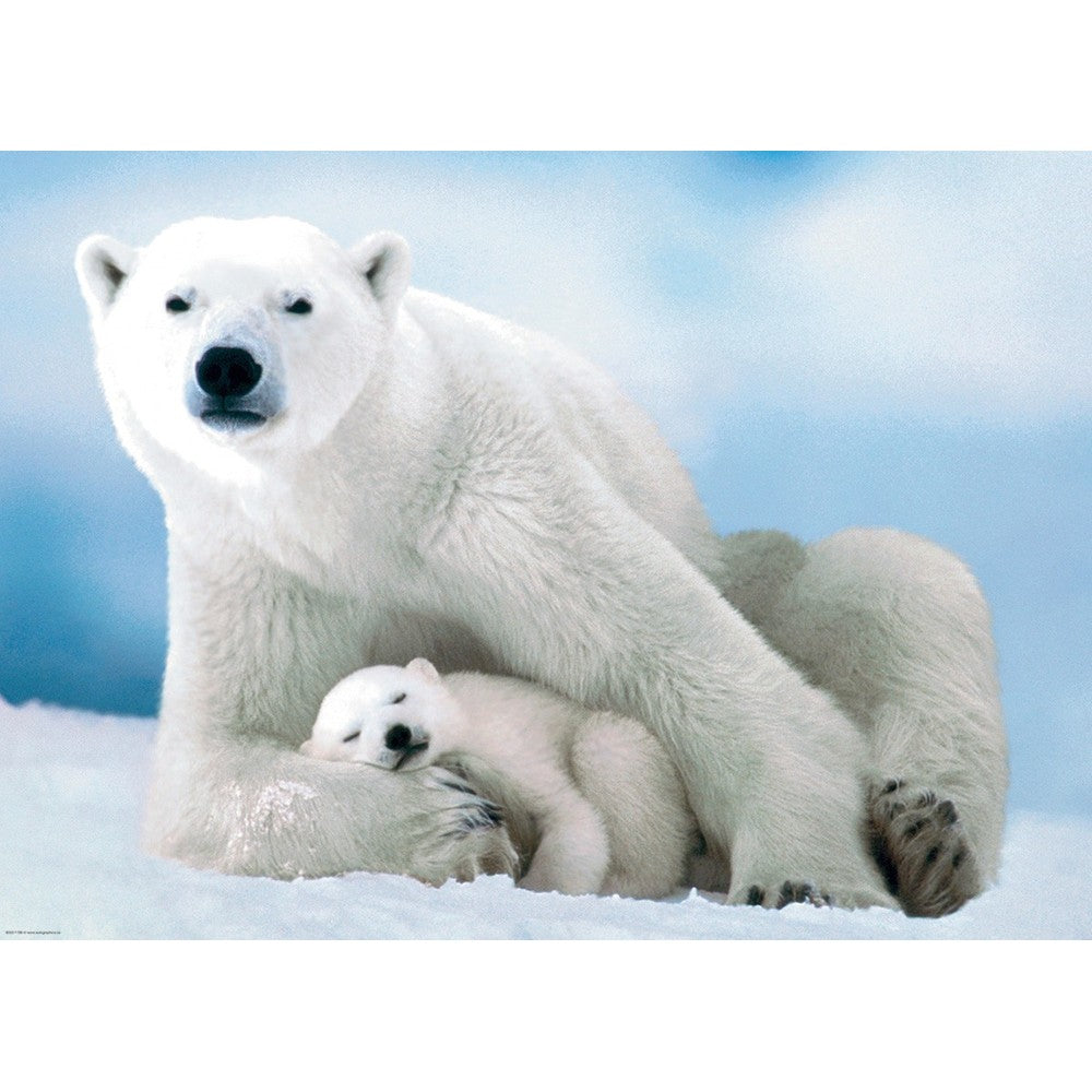 Eurographics - Polar Bear & Cubs - Jigsaw Puzzle