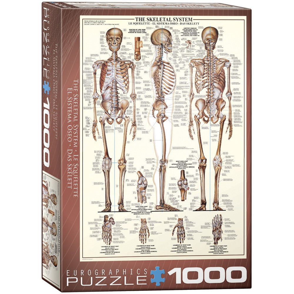 Eurographics - The Skeletal System 1000 Piece - Jigsaw Puzzle