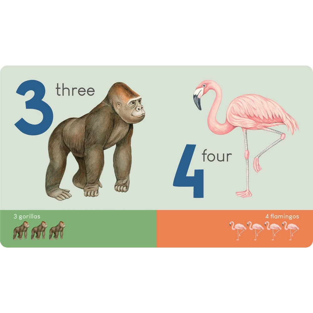 Animal Numbers Carry Me Book