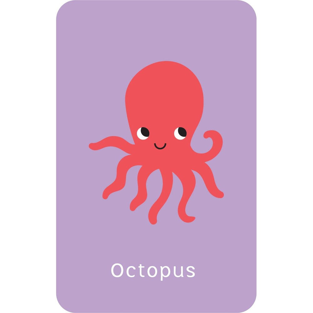 Go Fish Snap Cards