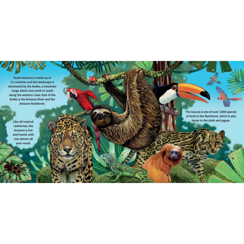 Wild Animal Sounds Pop Up Book