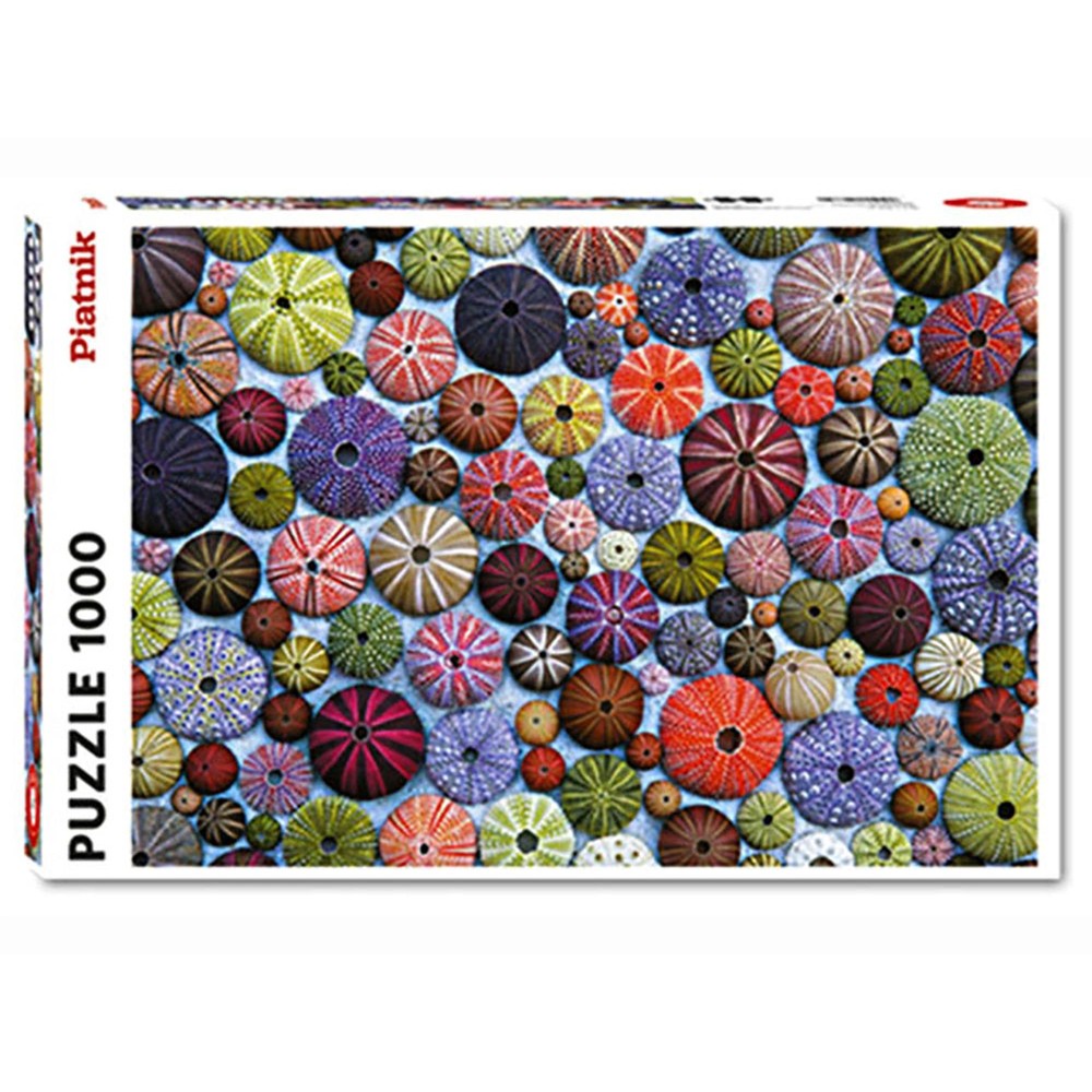 Puzzle - Piatnik - Sea-Urchin Shells 1000Pc