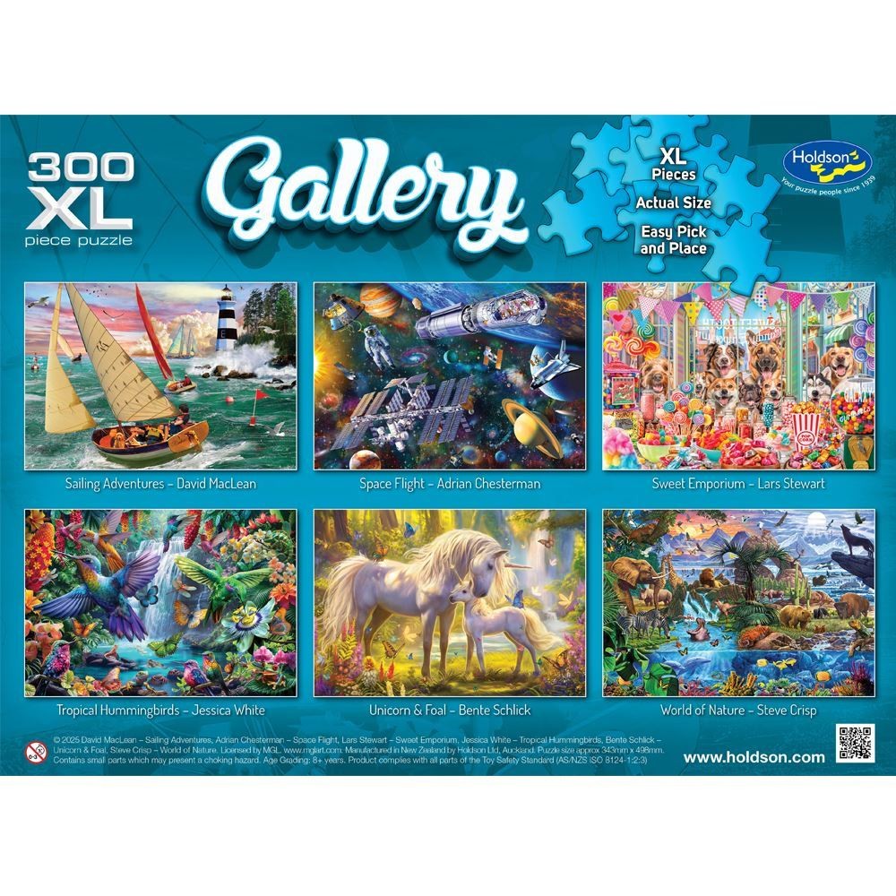 Holdson - Gallery 11 Hummingbirds 300Pcx - Jigsaw Puzzle
