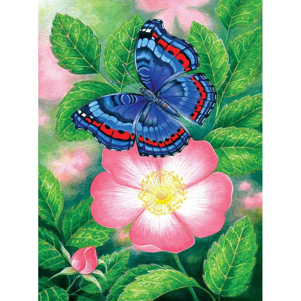 Puzzle - Sunsout - Blue Butterfly 1000Pc