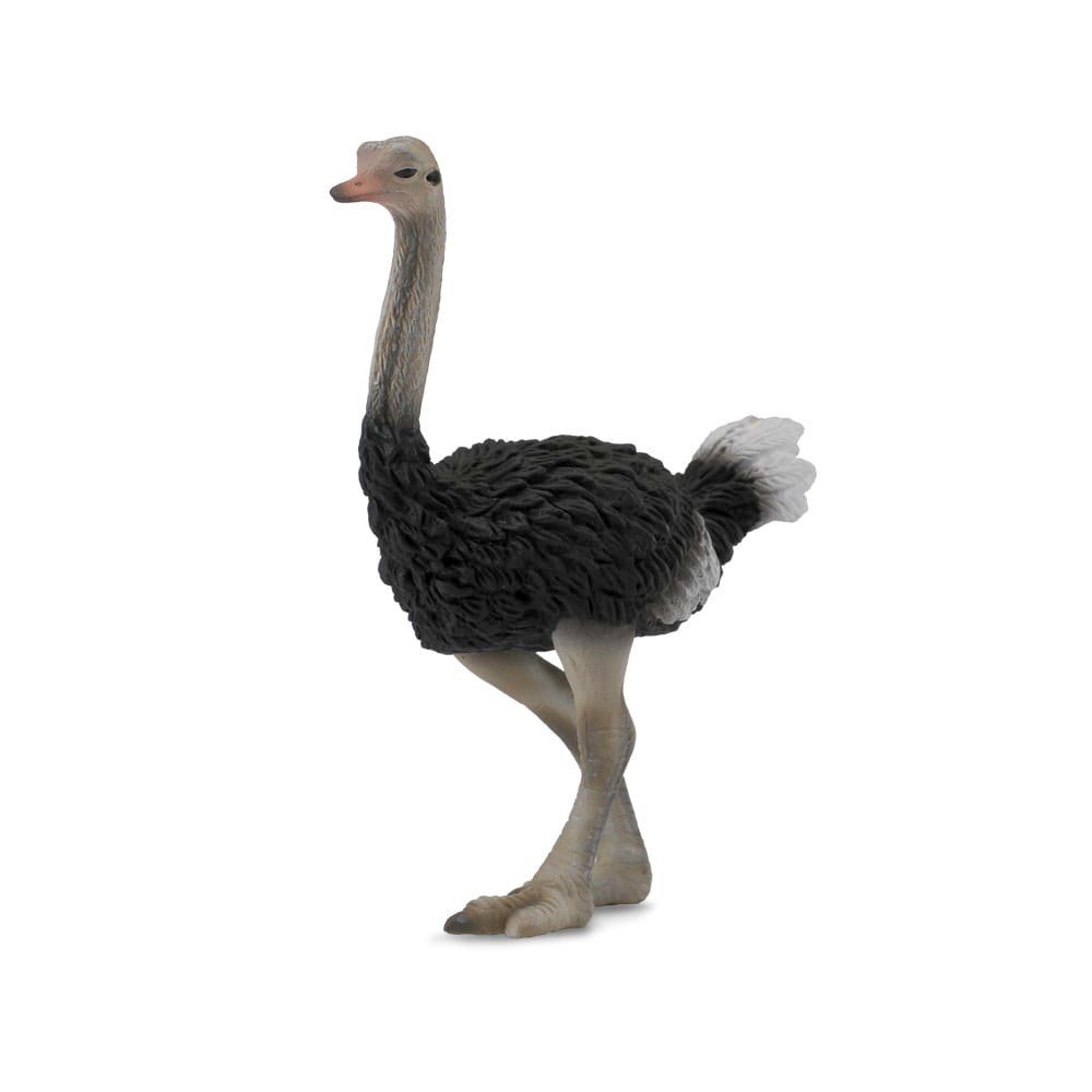 CollectA - Ostrich Figurine (L)