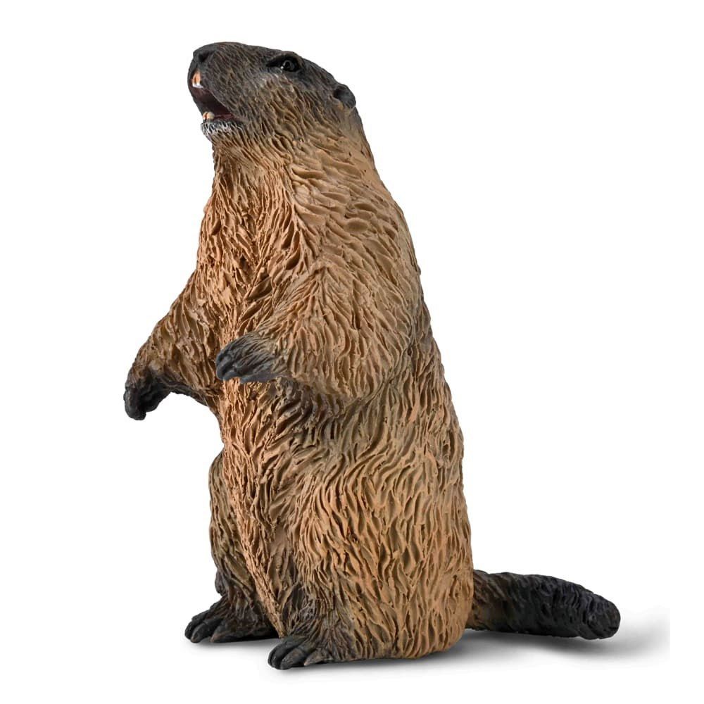 Marmot Figurine CollectA S