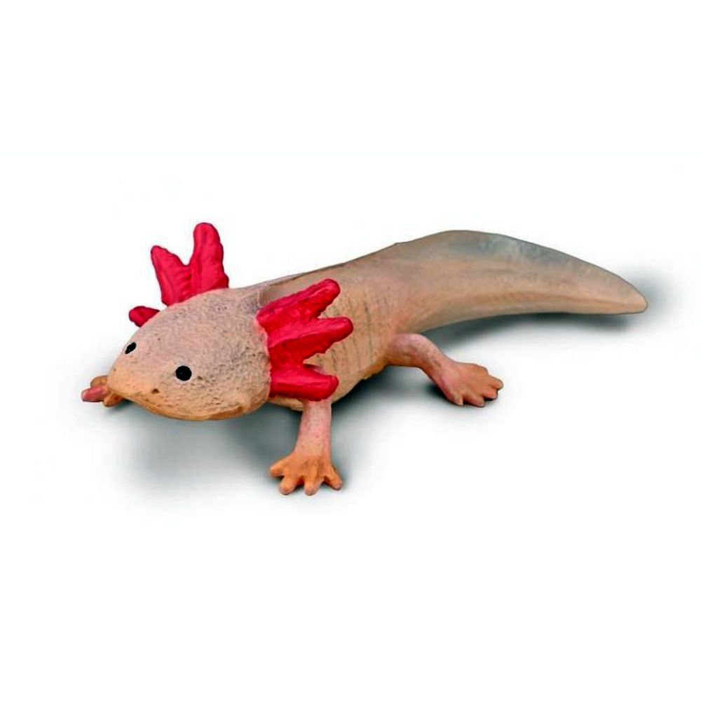 Axolotl Figurine CollectA