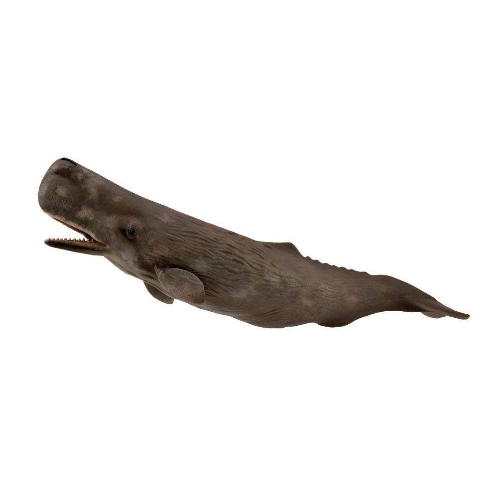 Sperm Whale Figurine CollectA XL