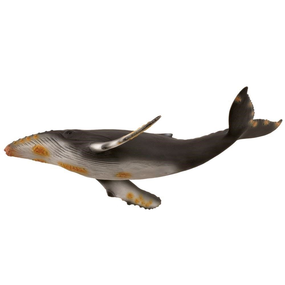 Humpback Whale Figurine CollectA XL