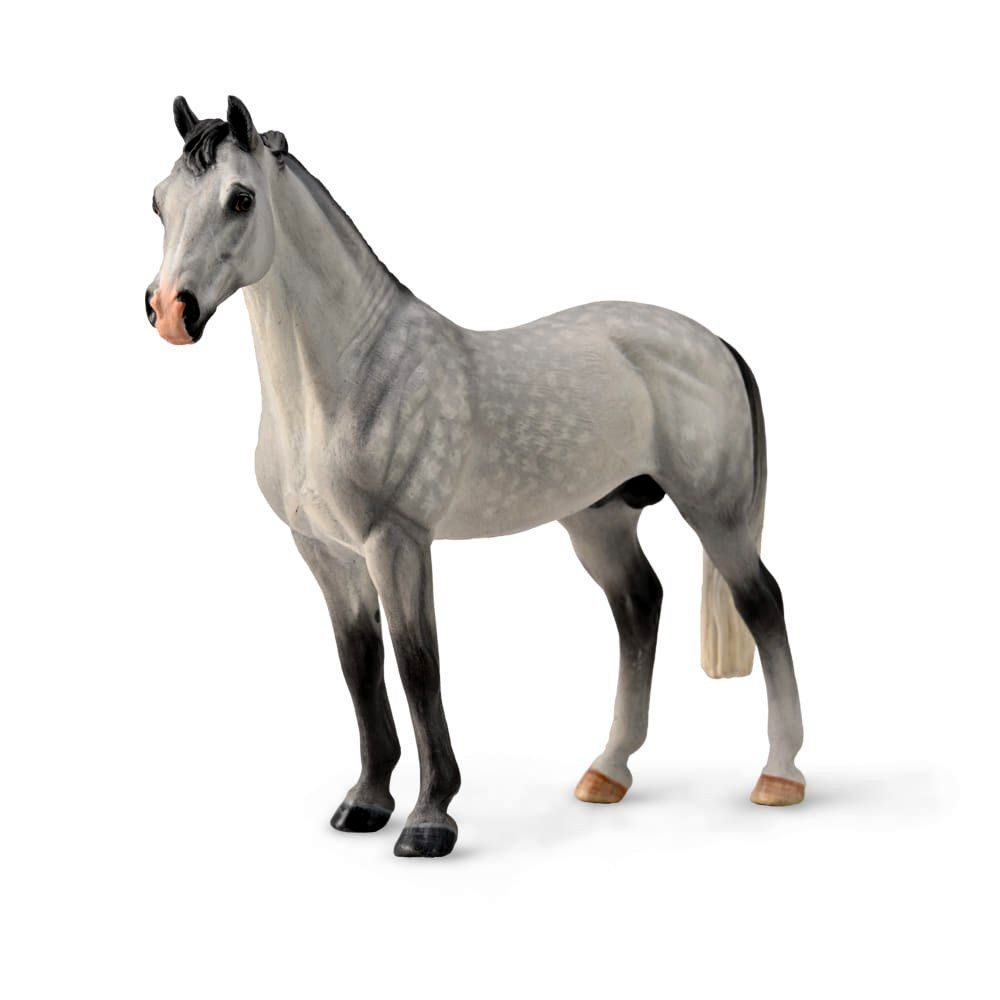 CollectA - Hanoverian Stallion Dapple Grey Figurine (XL)