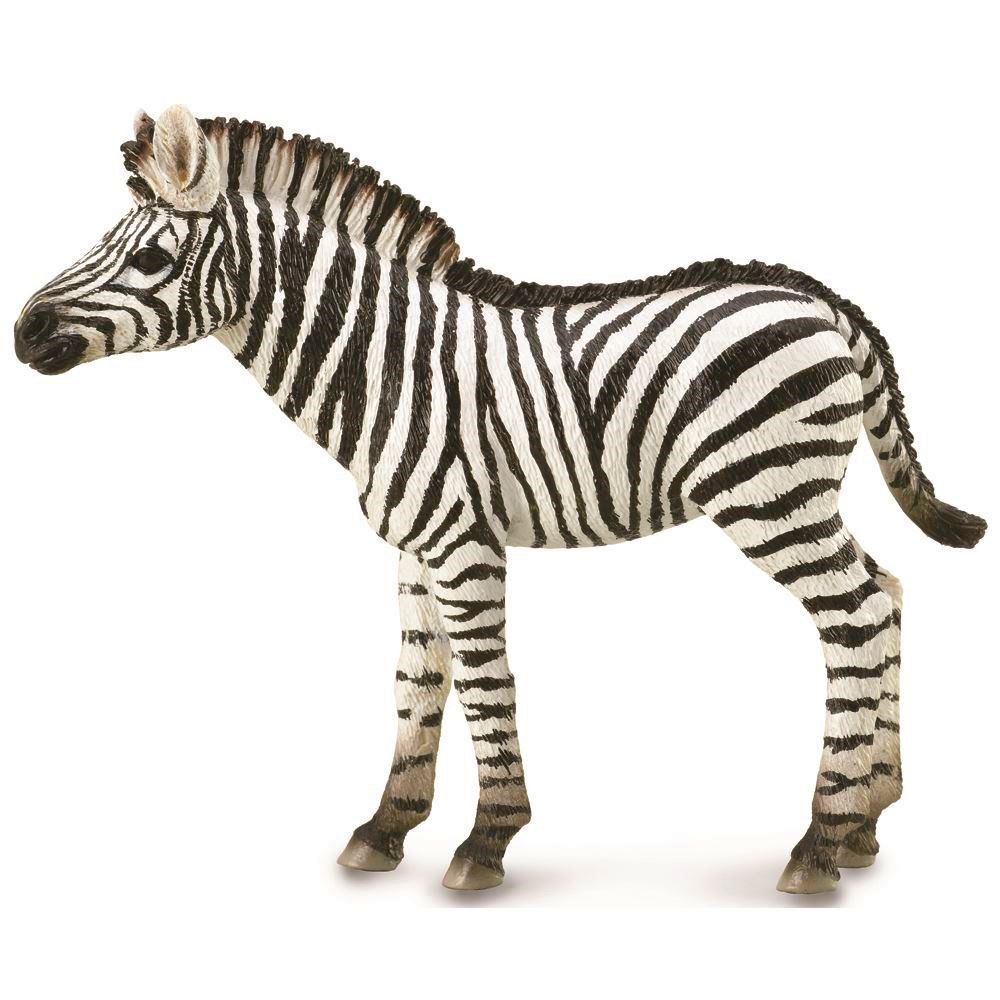 Zebra Foal Figurine CollectA M
