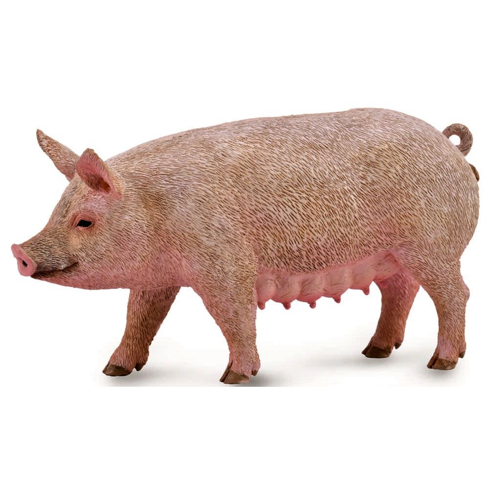 Sow Figurine CollectA M