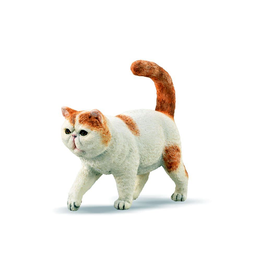 Exotic Shorthair Figurine CollectA S