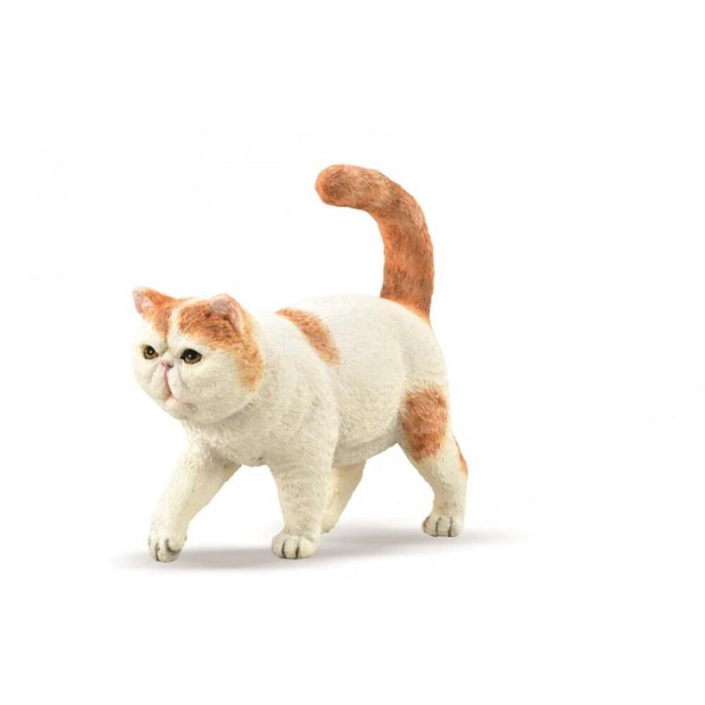 Exotic Shorthair Figurine CollectA S