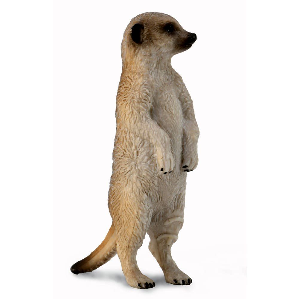 Meerkat Standing Figurine CollectA S