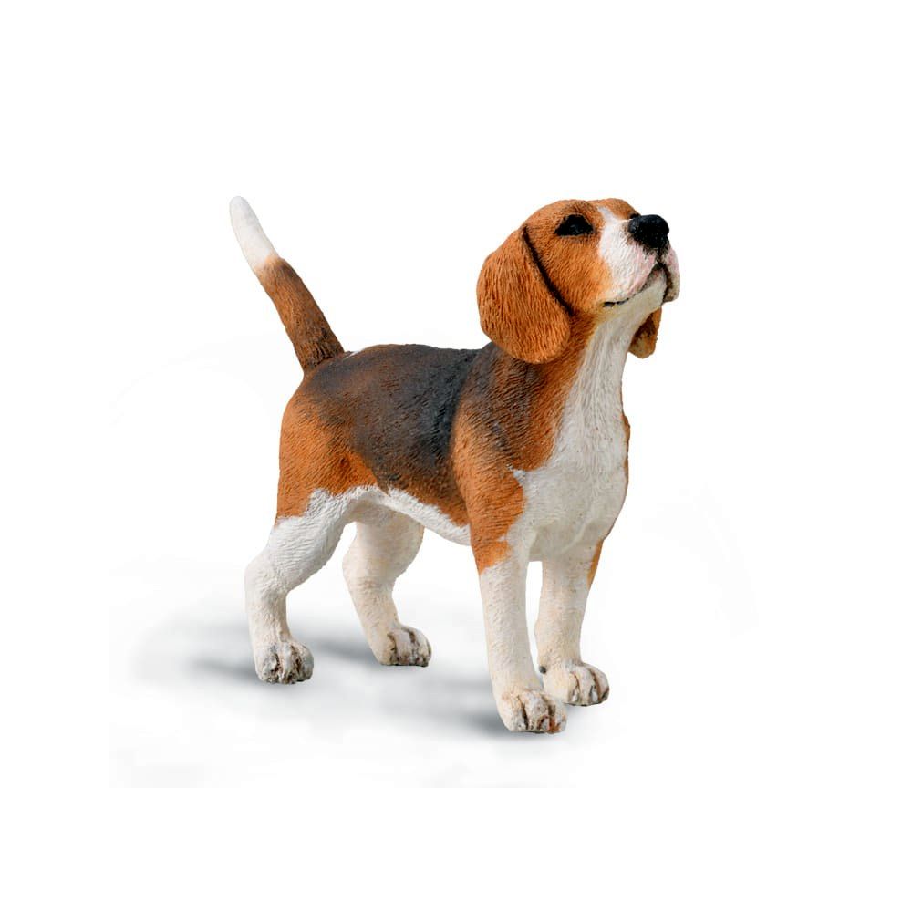 Beagle Figurine CollectA M