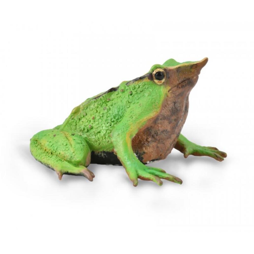 Darwin's Frog Figurine CollectA M