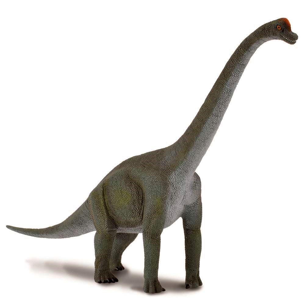 Brachiosaurus Figurine CollectA L