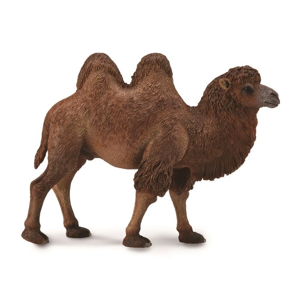 Bactrian Camel Figurine CollectA L