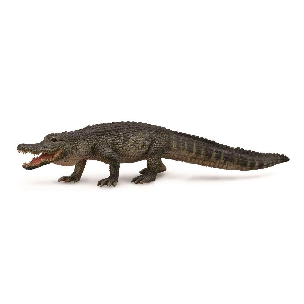American Alligator Figurine CollectA L
