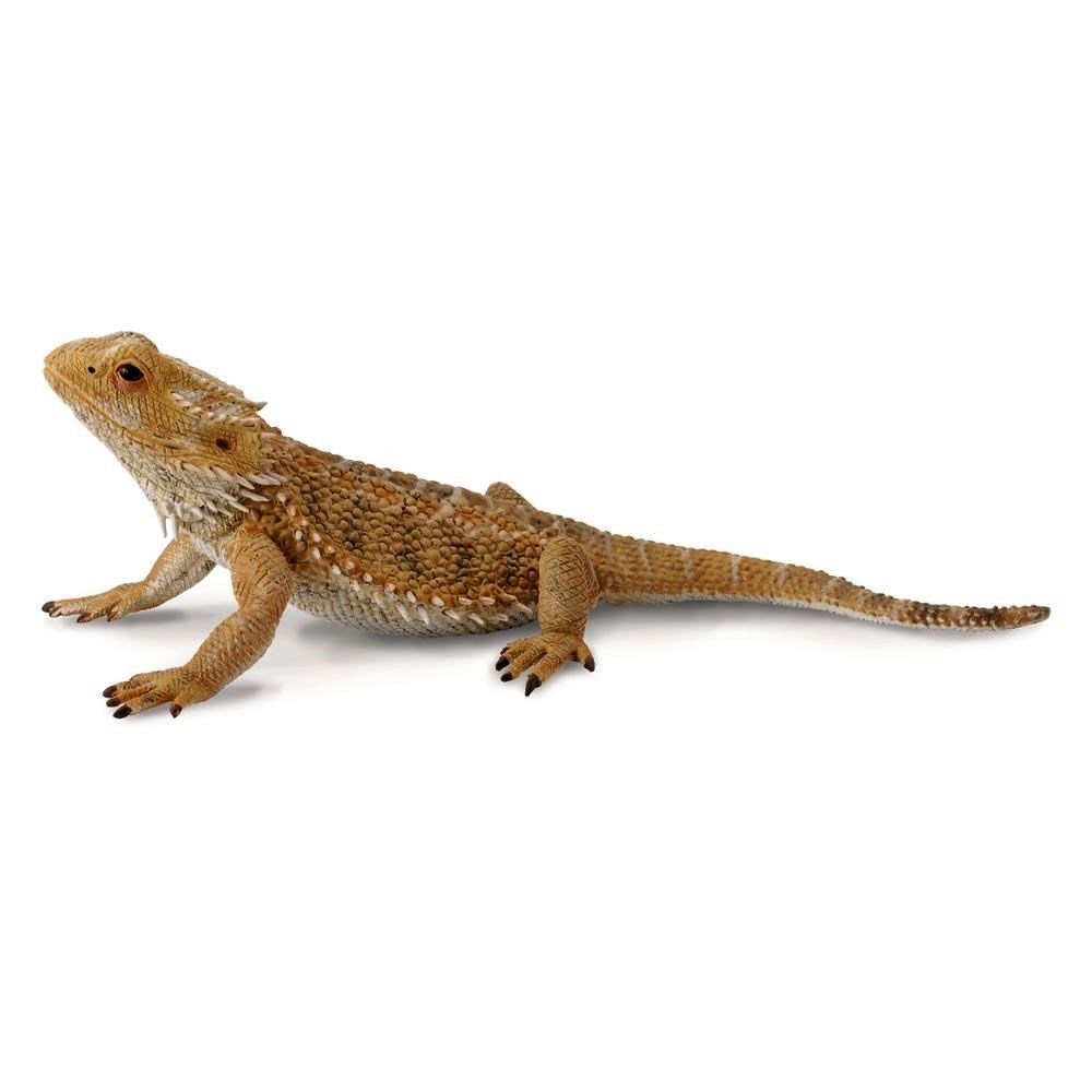 CollectA - Bearded Dragon Lizard Figurine (L)
