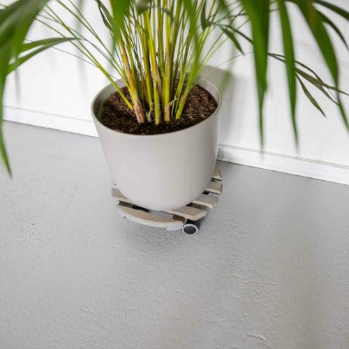 Indoor Plant Trolley - Round Grey 29cm (Set of 2)