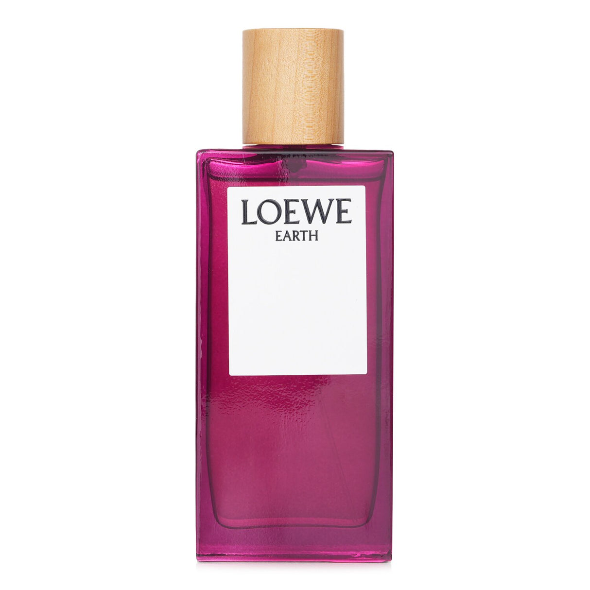 Loewe - Earth Eau De Parfum Spray - 100ml/3.4oz
