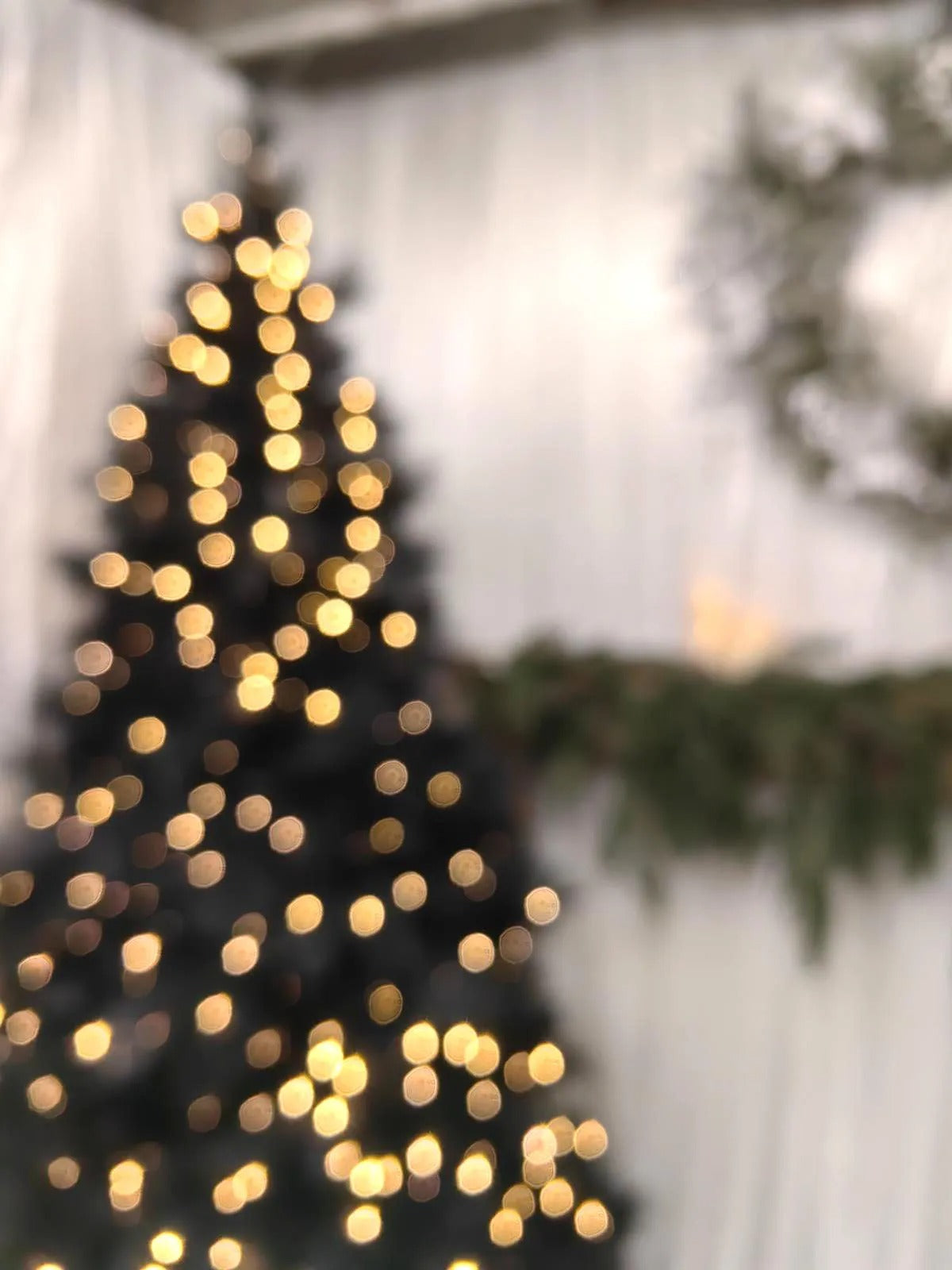 Christmas Tree - 7' Black Luxury Pine Tree X 1700 with