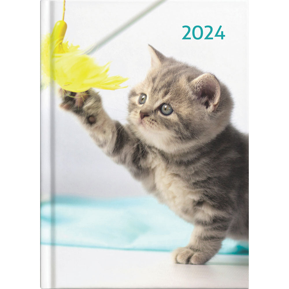 Collins A51 Cats & Dogs Day to Page Diary Even Year