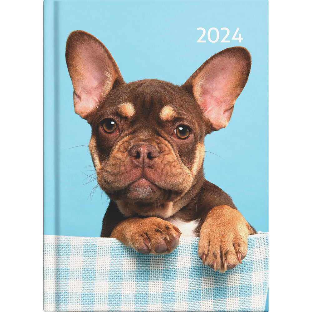 Collins A51 Cats & Dogs Day to Page Diary Even Year